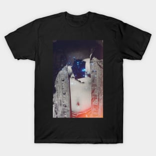 Stardust T-Shirt